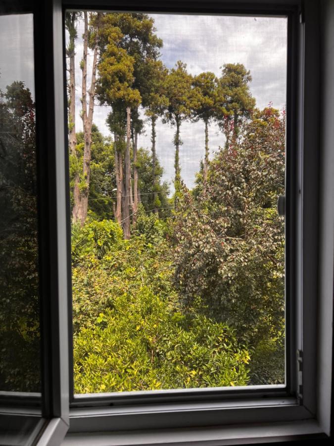 Guest House Nino Makhinjauri Εξωτερικό φωτογραφία