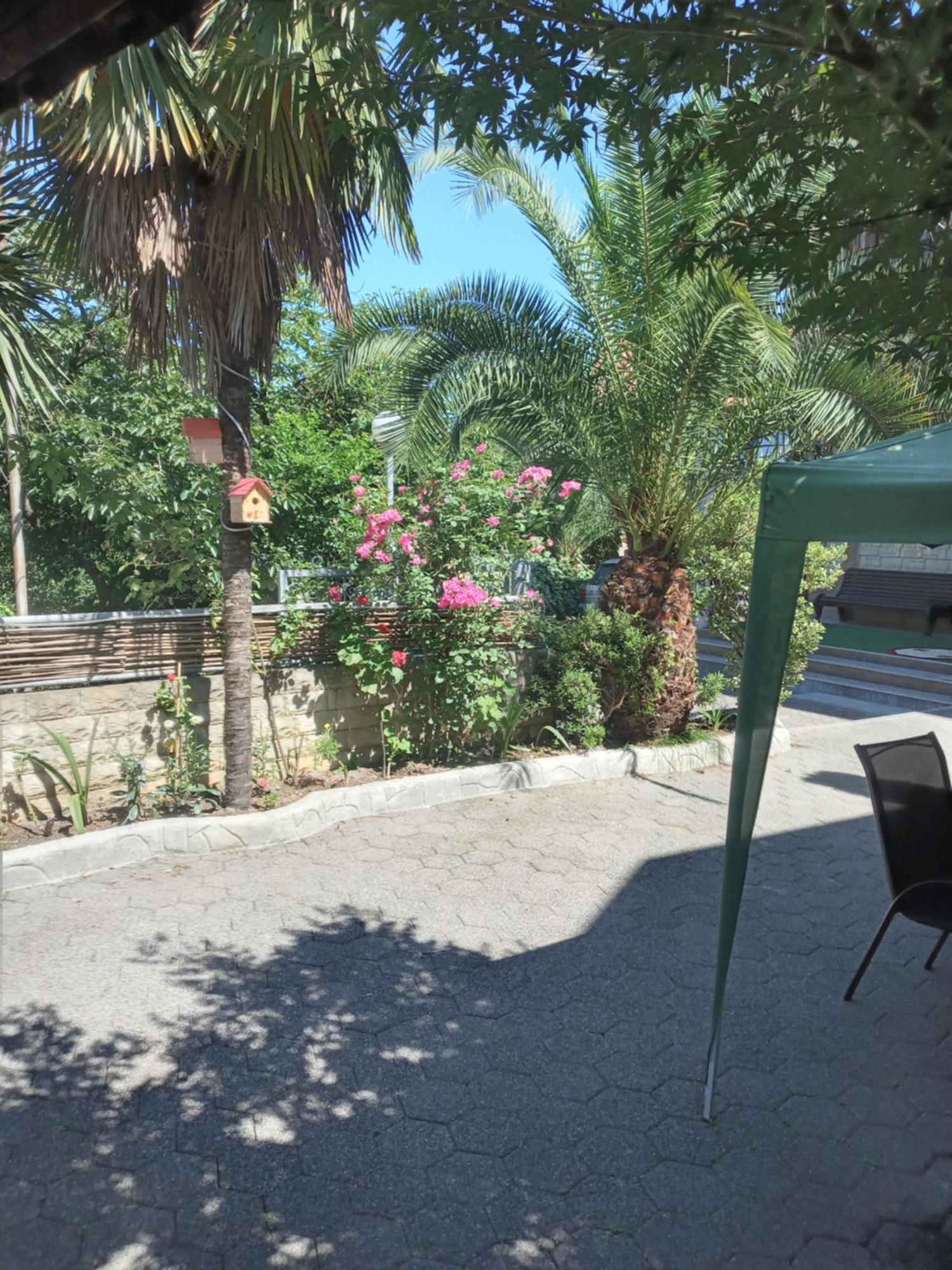 Guest House Nino Makhinjauri Εξωτερικό φωτογραφία